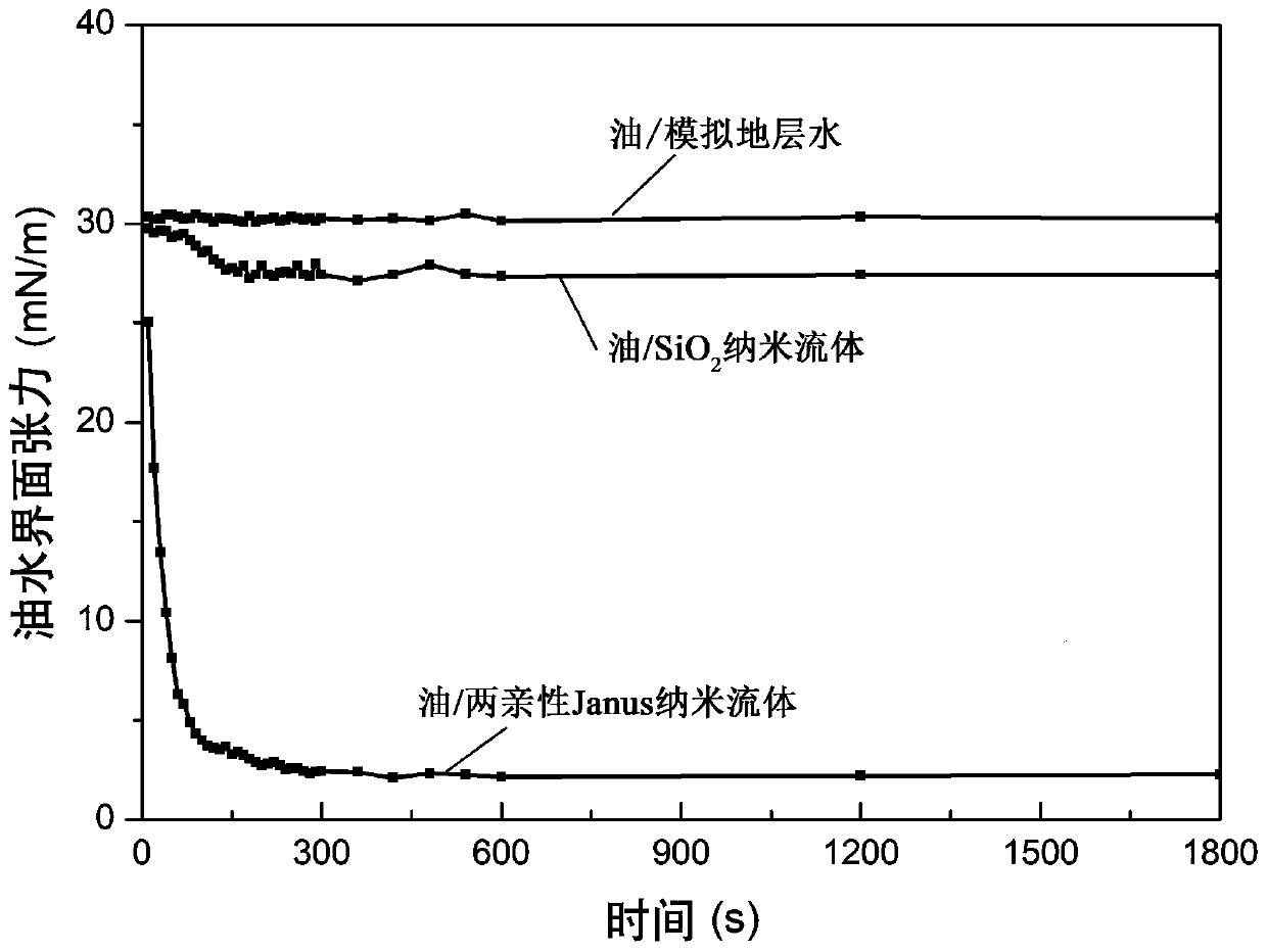 Amphiphilic Janus nano particle and preparation method and application thereof