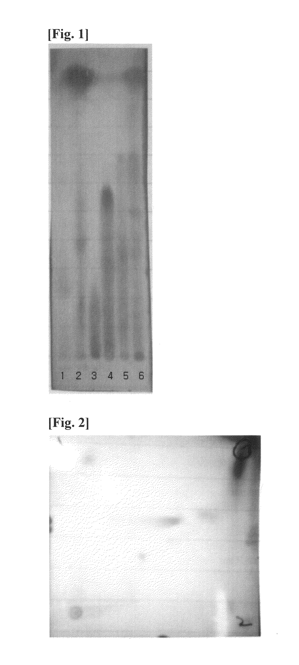 Composition comprising an extract of hardy kiwi for preventing or treating baldness disorders or seborrheic skin disorders