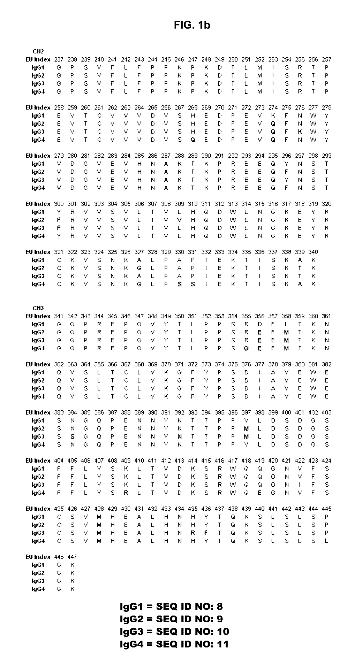 Novel immunoglobulin variants