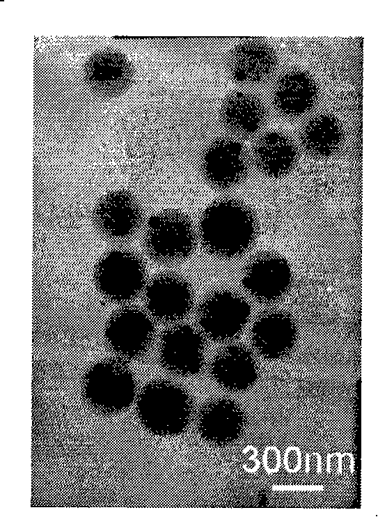 Noble metal/phenolic resin biocompatible material having core-shell structure and preparation thereof