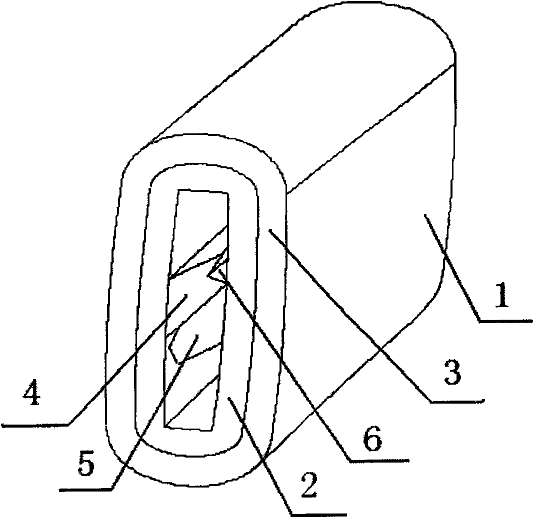 Plug fixation device for nose