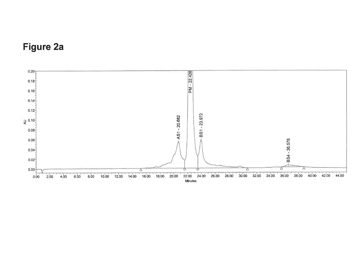 Recombinant production of monoclonal antibodies