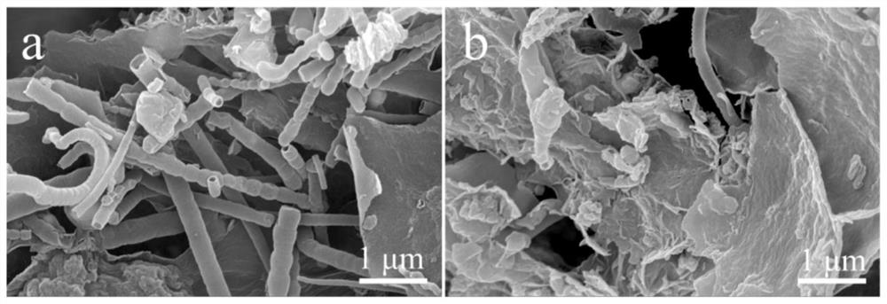 Boron/nitrogen double-doped carbon nanotube-carbon nanosheet composite material and preparation method