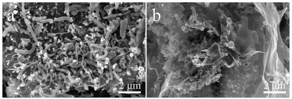 Boron/nitrogen double-doped carbon nanotube-carbon nanosheet composite material and preparation method