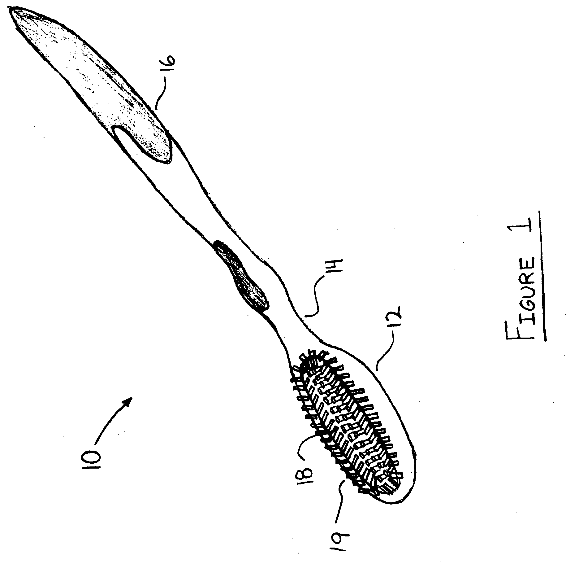 Toothbrush with contoured head