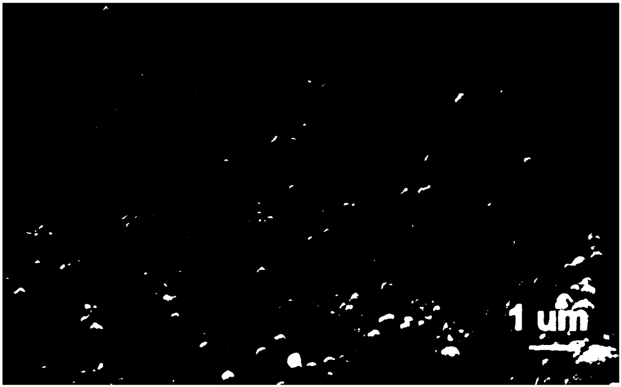 Rheum emodin molecularly imprinted silica nanoparticle composite membrane as well as preparation method and application thereof