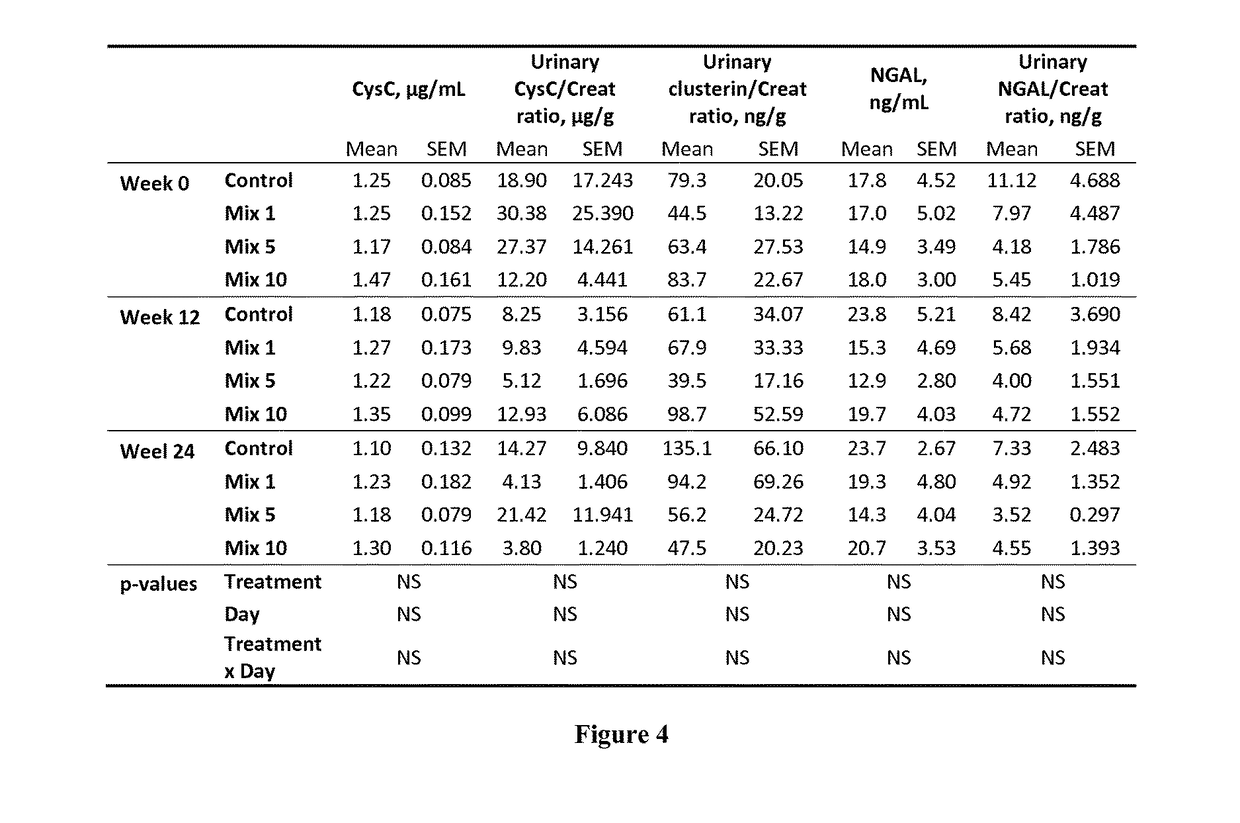 Synergistically-effective antioxidant composition for pets