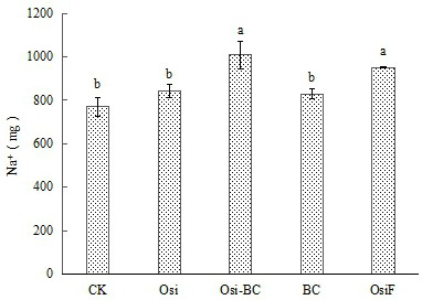 Preparation method and drying device of carbon-based silicon fertilizer