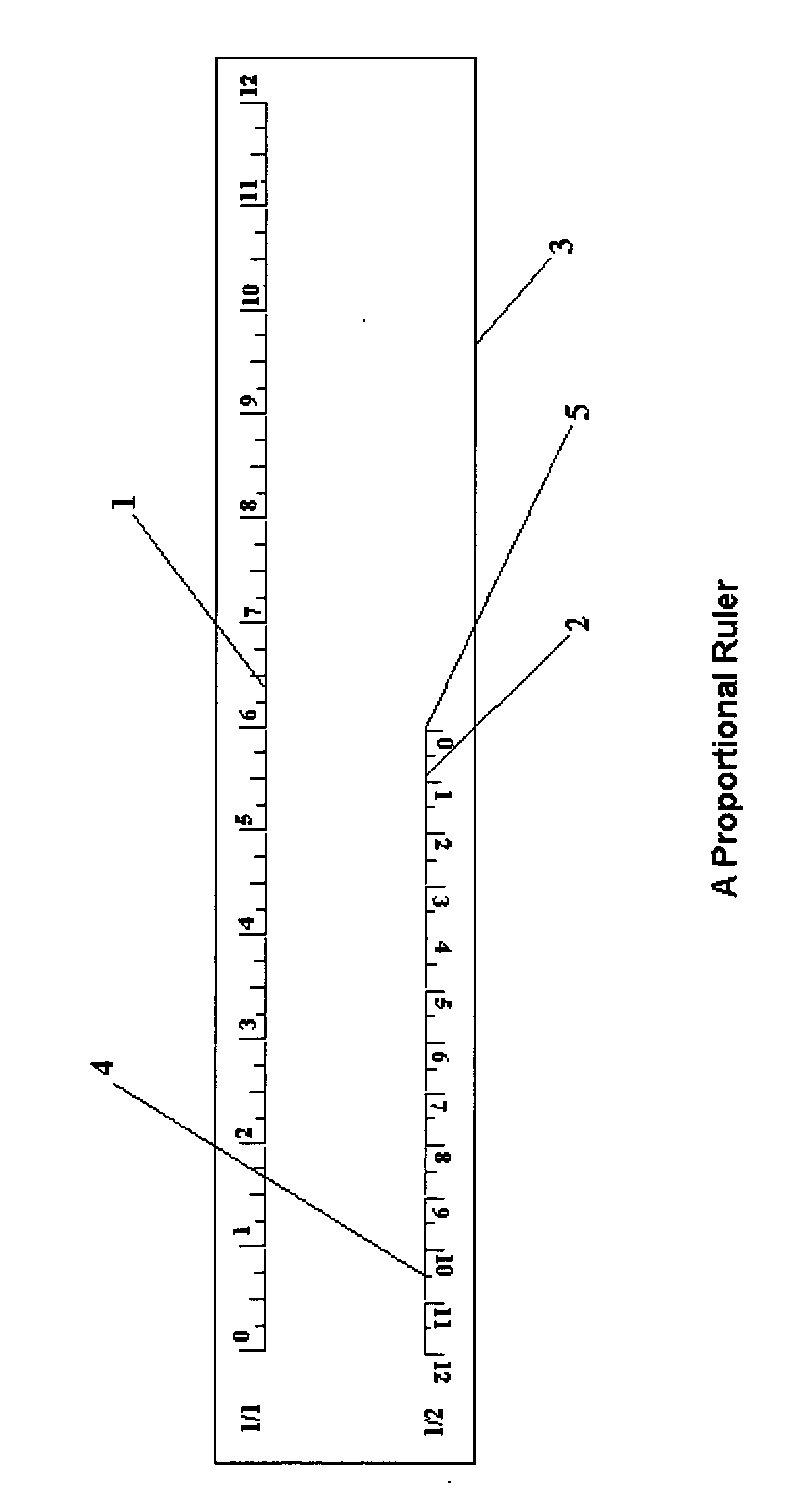 Proportional ruler