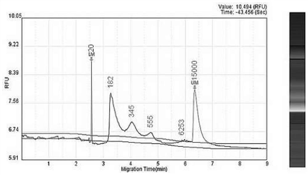 Construction method for trace frozen tissue ATAC-seq sequencing library