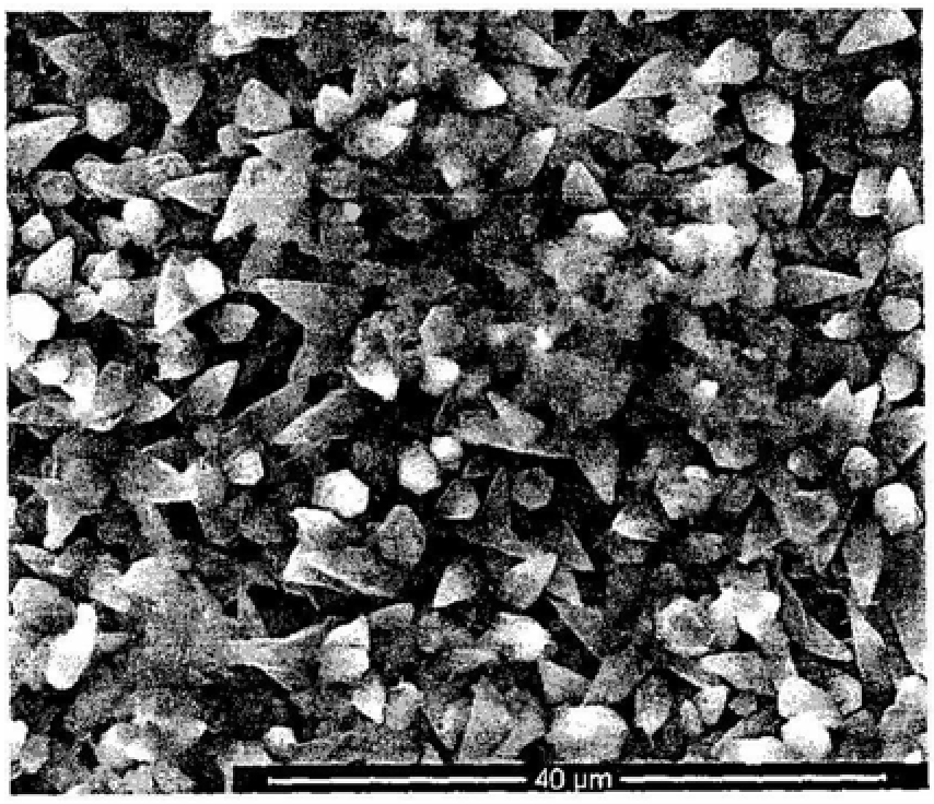 Fiber-reinforced ceramic matrix composite material with ablation resistance, thermal shock resistance, high temperature and oxidation resistance coating and preparation method thereof