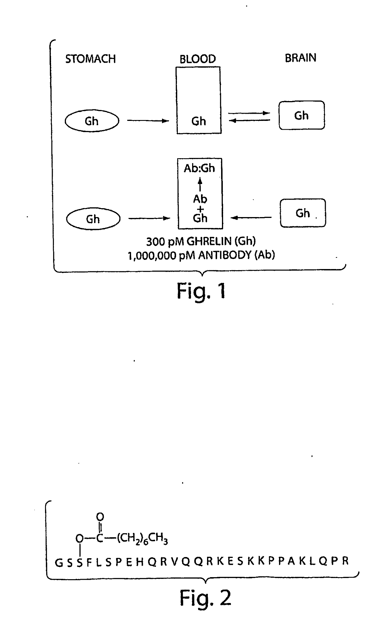 Compositions and Methods for Binding or Inactivating Ghrelin