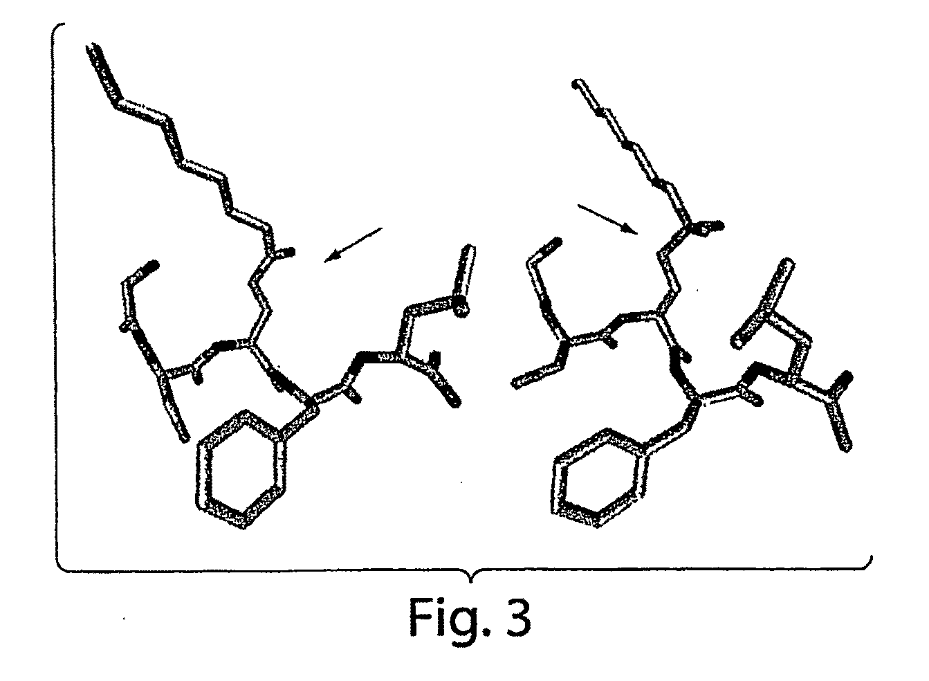Compositions and Methods for Binding or Inactivating Ghrelin