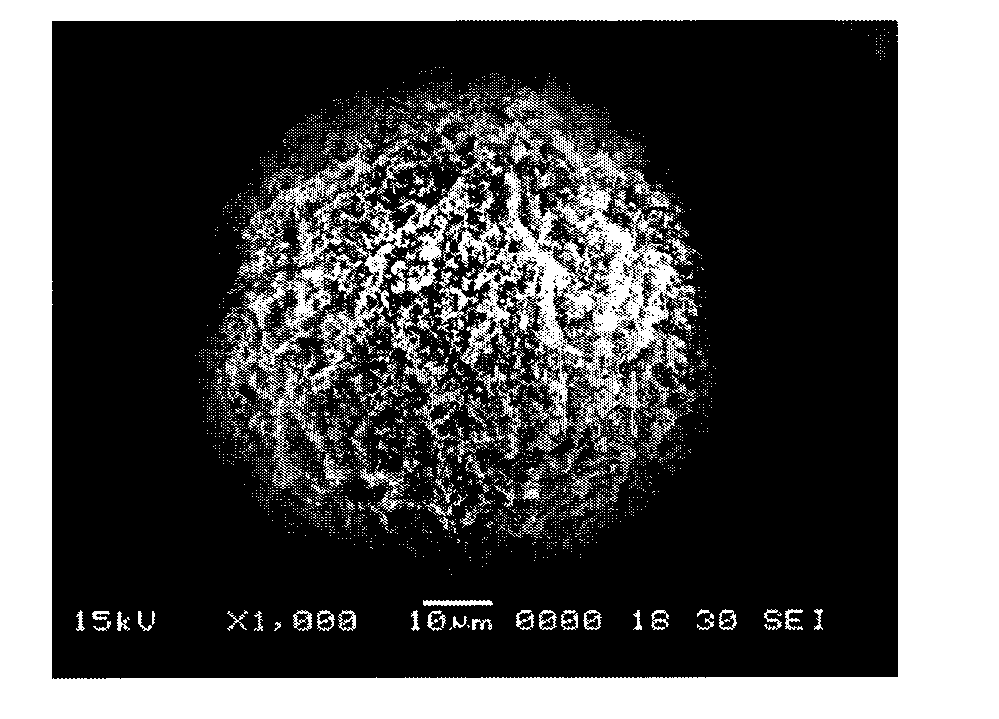 RhBMP-2-loaded chitosan microspheres, preparation method thereof and application thereof