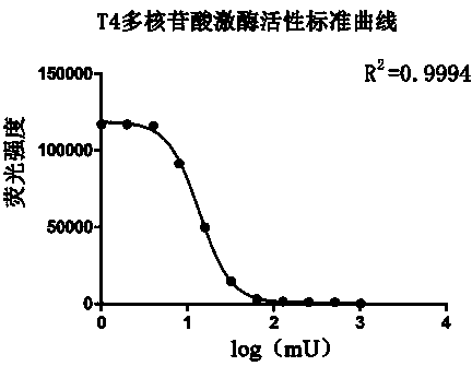 Method for quantitatively determining activity of T4 polynucleotide kinase
