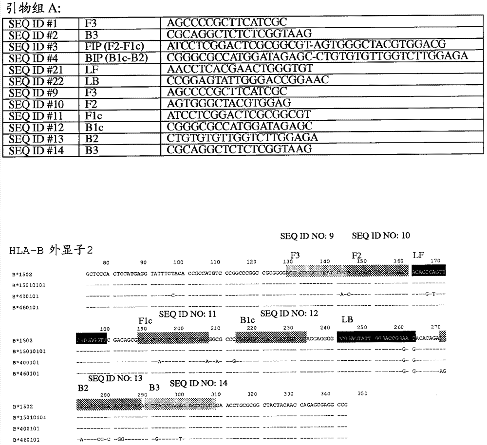 Detection of HLA genotype