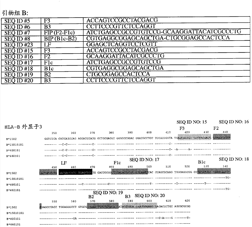 Detection of HLA genotype