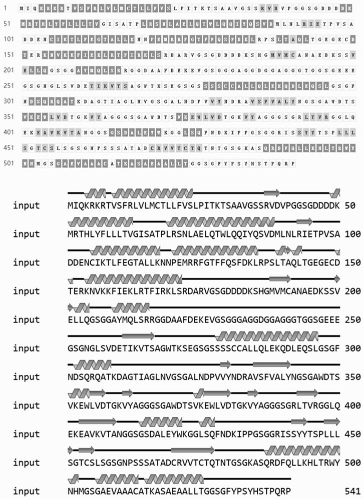 Preparation and application of fusion protein genetically engineered bacterium of coccidium antigen peptide/IL5