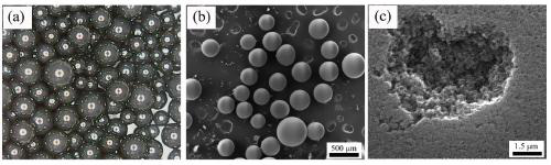 Nitrogen-rich carbon sphere adsorbent for whole blood perfusion and preparation method thereof