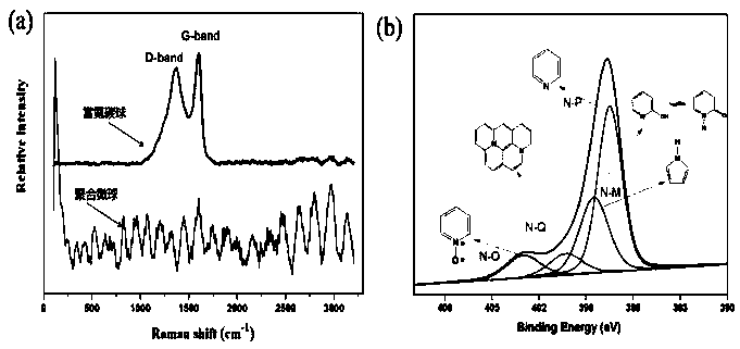 Nitrogen-rich carbon sphere adsorbent for whole blood perfusion and preparation method thereof