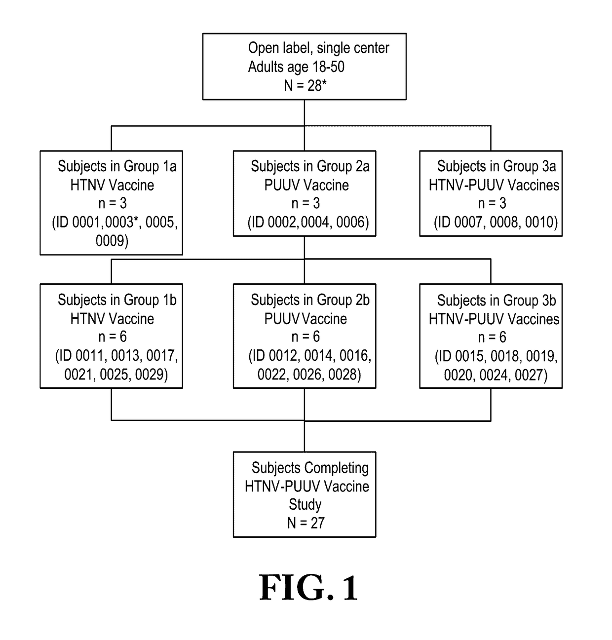 Gene Optimized Hantaan Virus M Segment DNA Vaccine For Hemorrhagic Fever With Renal Syndrome