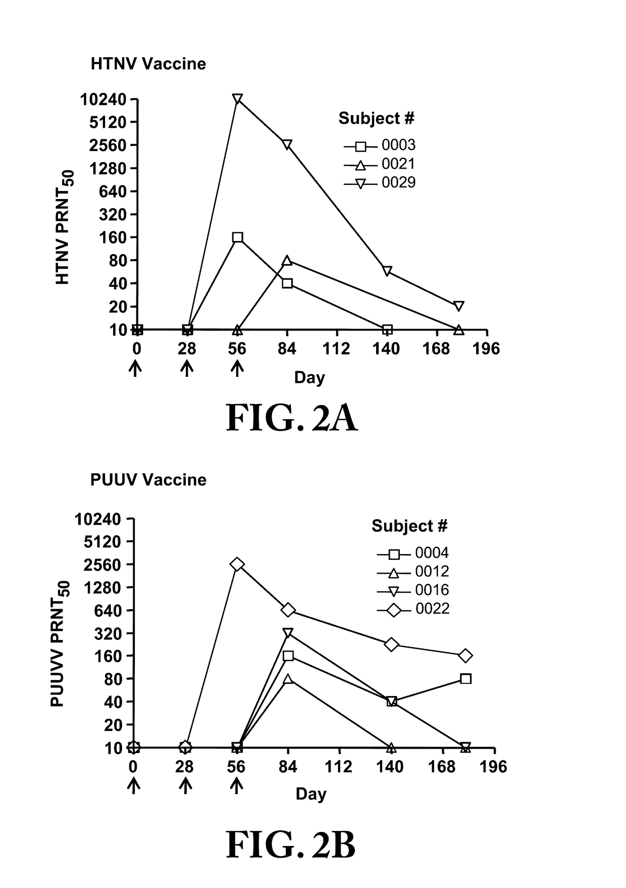 Gene Optimized Hantaan Virus M Segment DNA Vaccine For Hemorrhagic Fever With Renal Syndrome