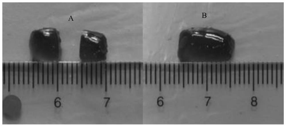 A degradable self-healing conductive hydrogel and its preparation method and application