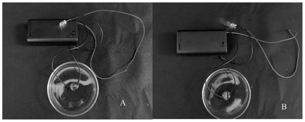 A degradable self-healing conductive hydrogel and its preparation method and application