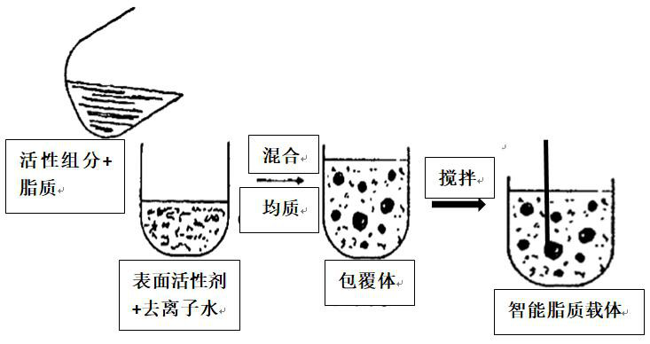 Intelligent lipid carrier with whitening and sunscreen functions, and preparation method of intelligent lipid carrier