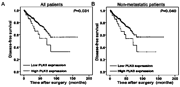 Plk3 prostatic cancer prognosis detection reagent and kit