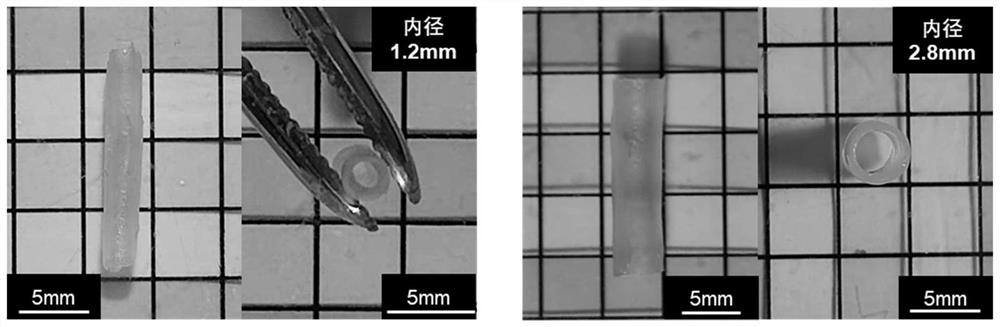 Application of polyethylene glycol hydrogel in preparation of self-adhesive biomedical material