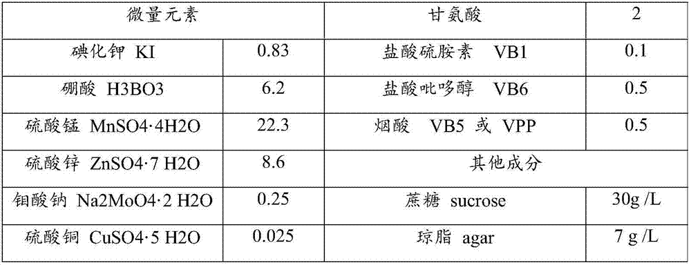 Method for accelerating induction of germination of epipremnum aureum