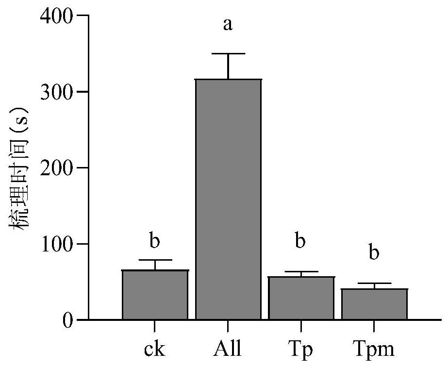 Termite control medicine containing alpha-terpilenol and application thereof