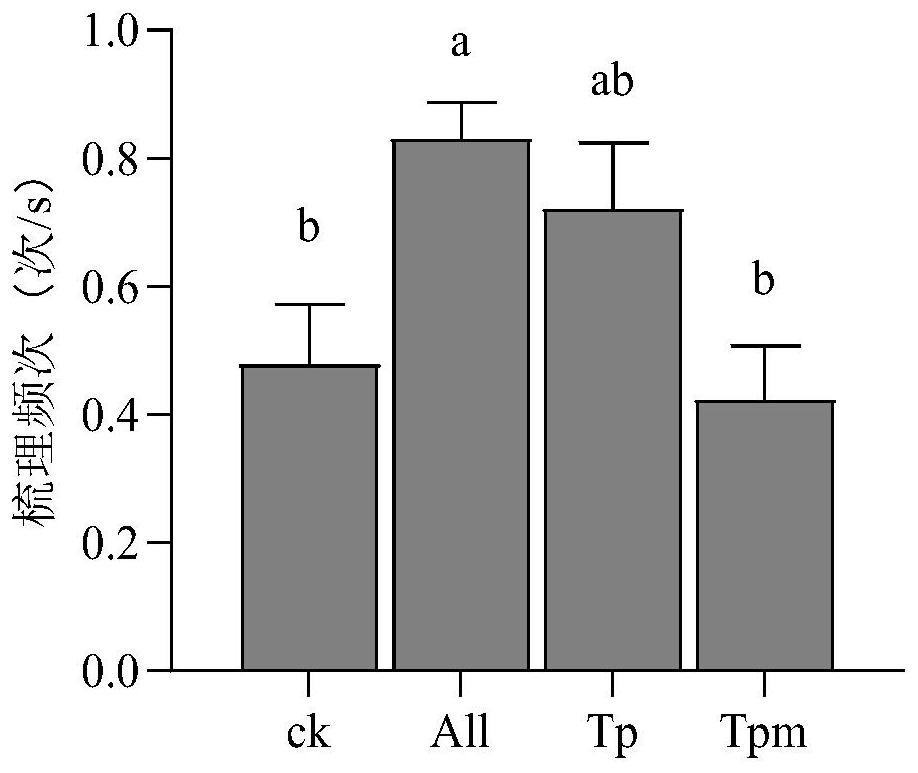 Termite control medicine containing alpha-terpilenol and application thereof