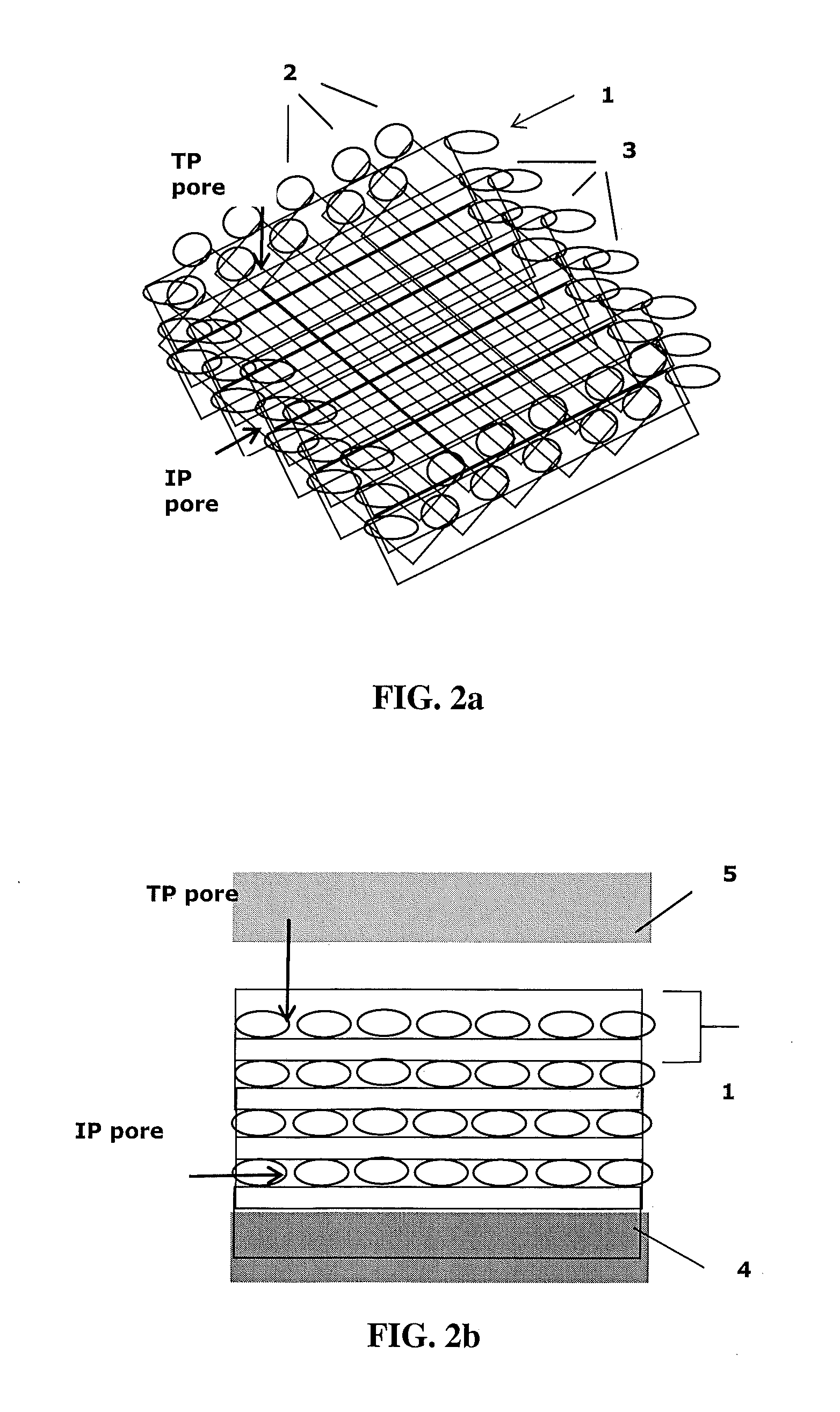 Conductive mesh supported electrode for fuel cell