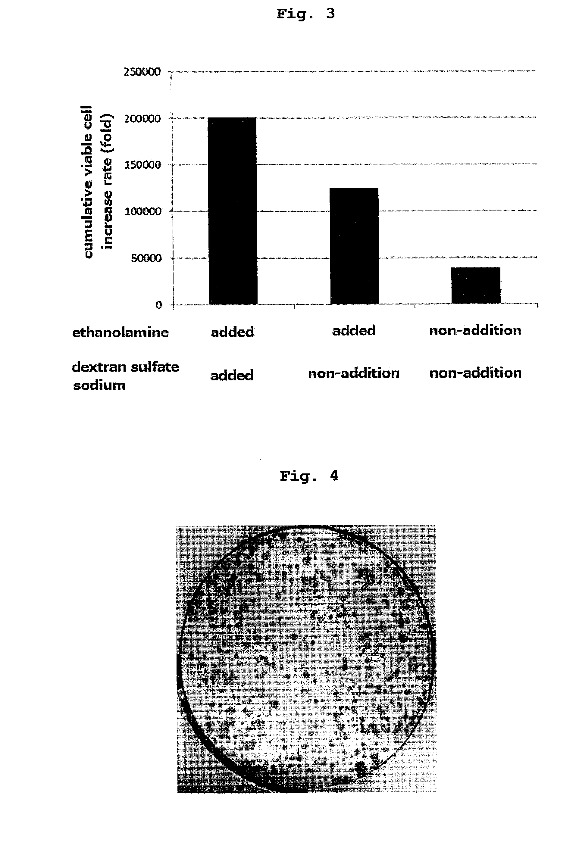Culture method for stable proliferation of pluripotent stem cell while maintaining undifferentiated state