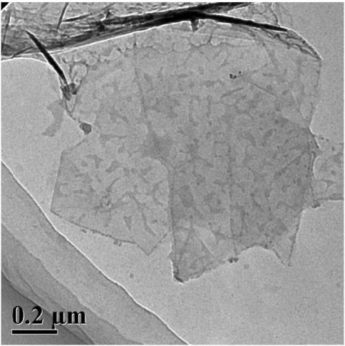 Thermoplastic vulcanized rubber nano composite material and preparation method thereof