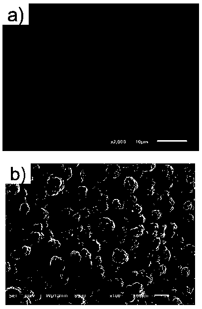 Composite zinc cathode with inorganic functional modification layer in water system battery and preparation method thereof, and application of composite zinc cathode with inorganic functional modification layer in water system battery