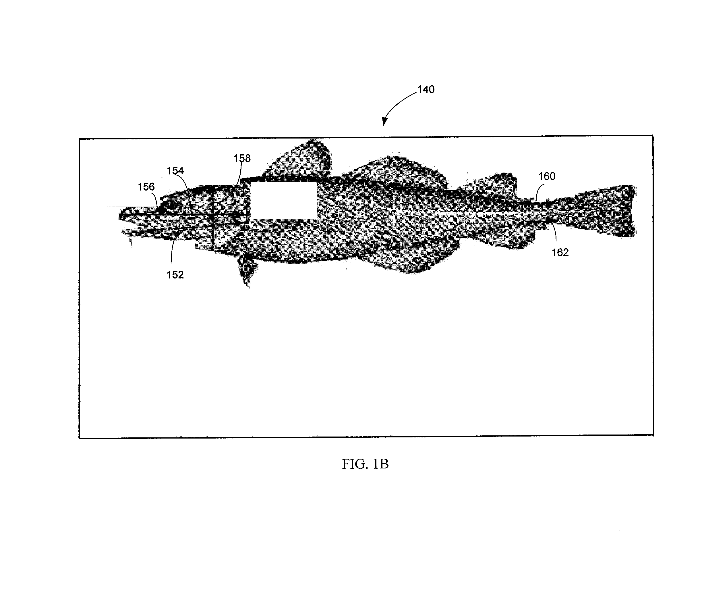 Methods and systems for determining fish catches