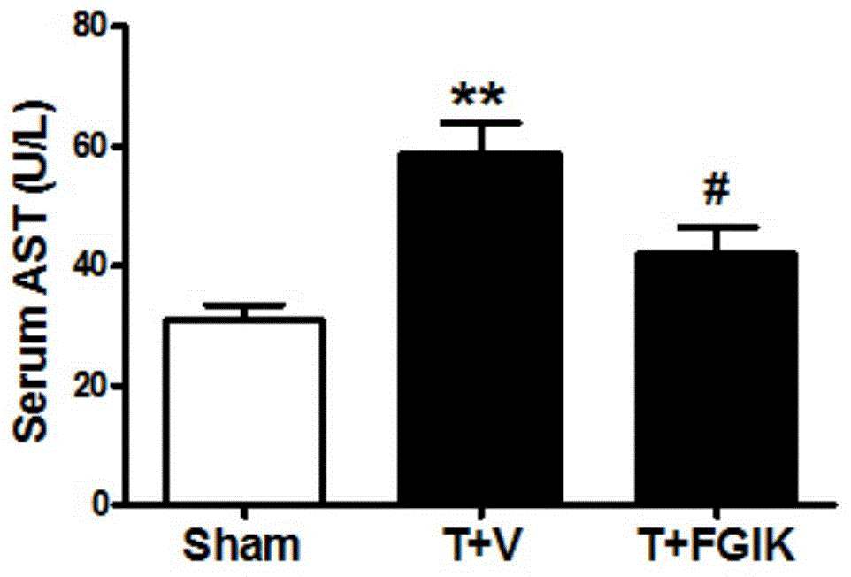 Improved polarizing liquor and preparation method as well as application thereof