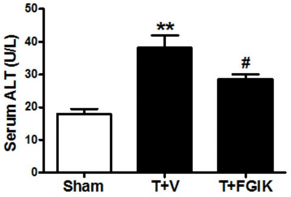 Improved polarizing liquor and preparation method as well as application thereof