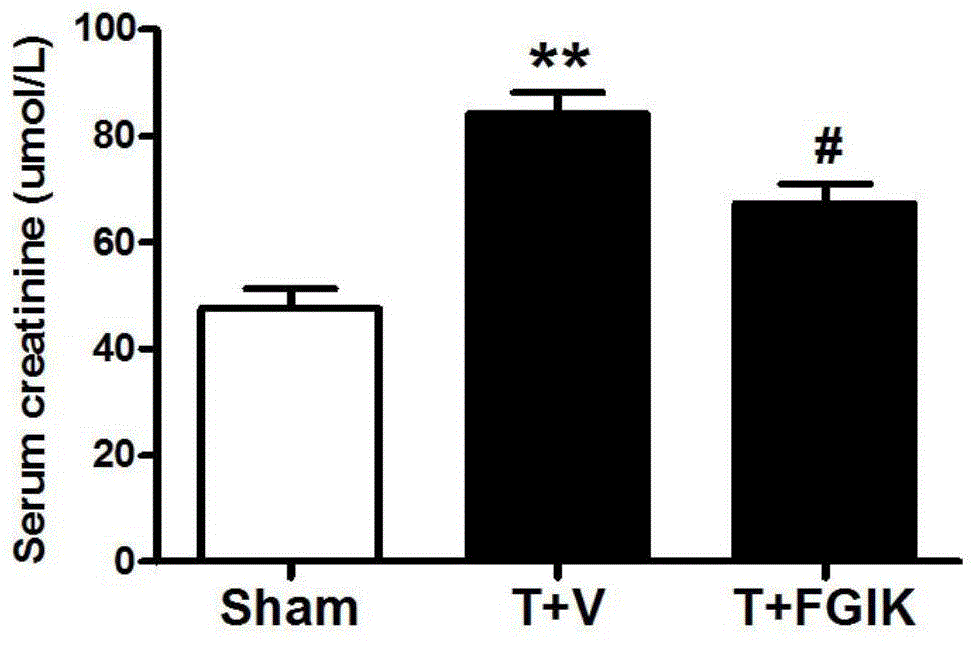 Improved polarizing liquor and preparation method as well as application thereof