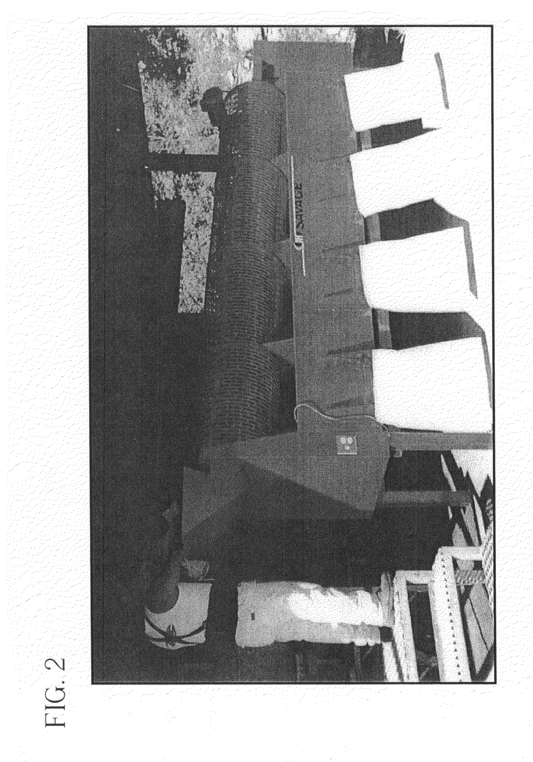 Method of accelerating the growth and development of trees and shrubs via enhanced root development