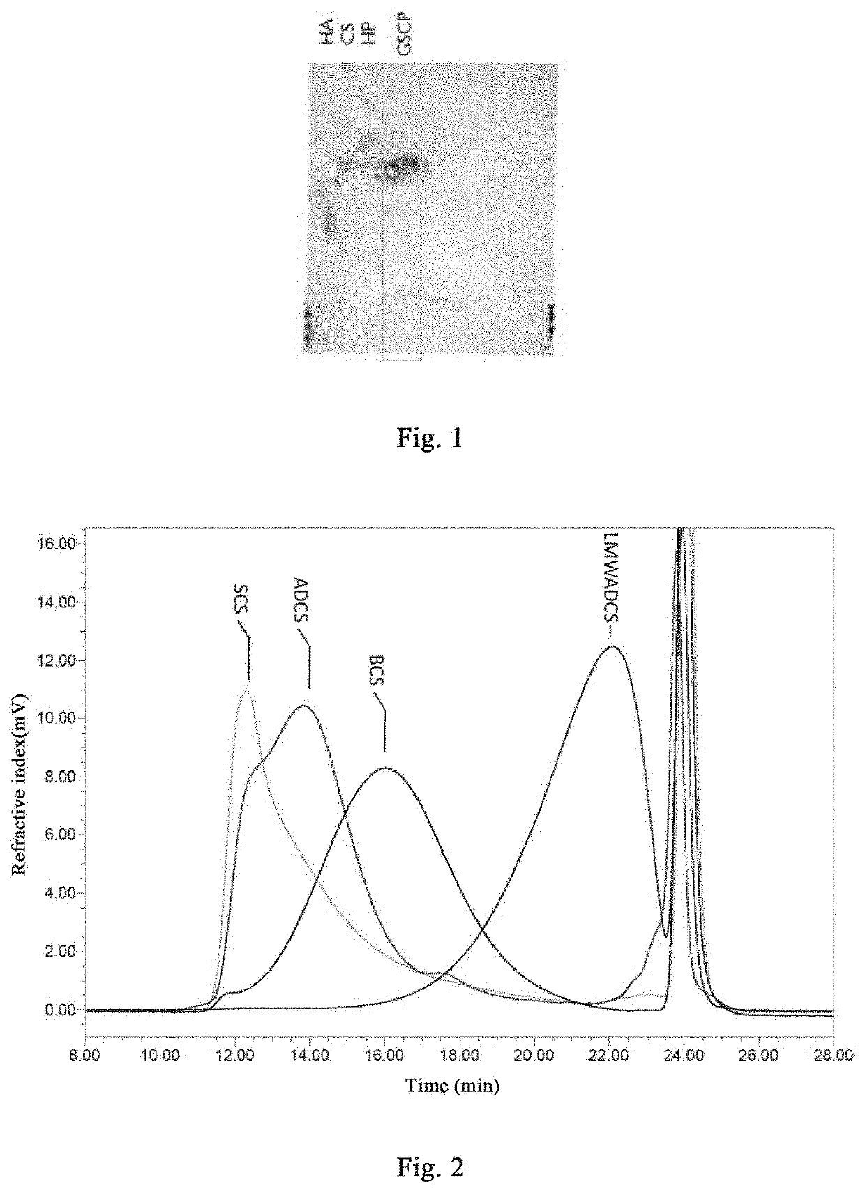 Andrias davidianus cartilage preparation