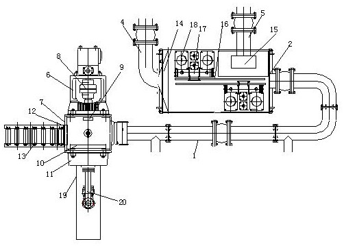 A sorting and collecting device for sky fruit