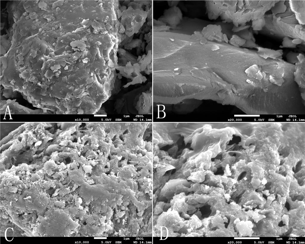 Coal gangue-sludge-based activated carbon, preparation method thereof and application of coal gangue-sludge-based activated carbon in mediation and enhancement of anaerobic digestion of sewage