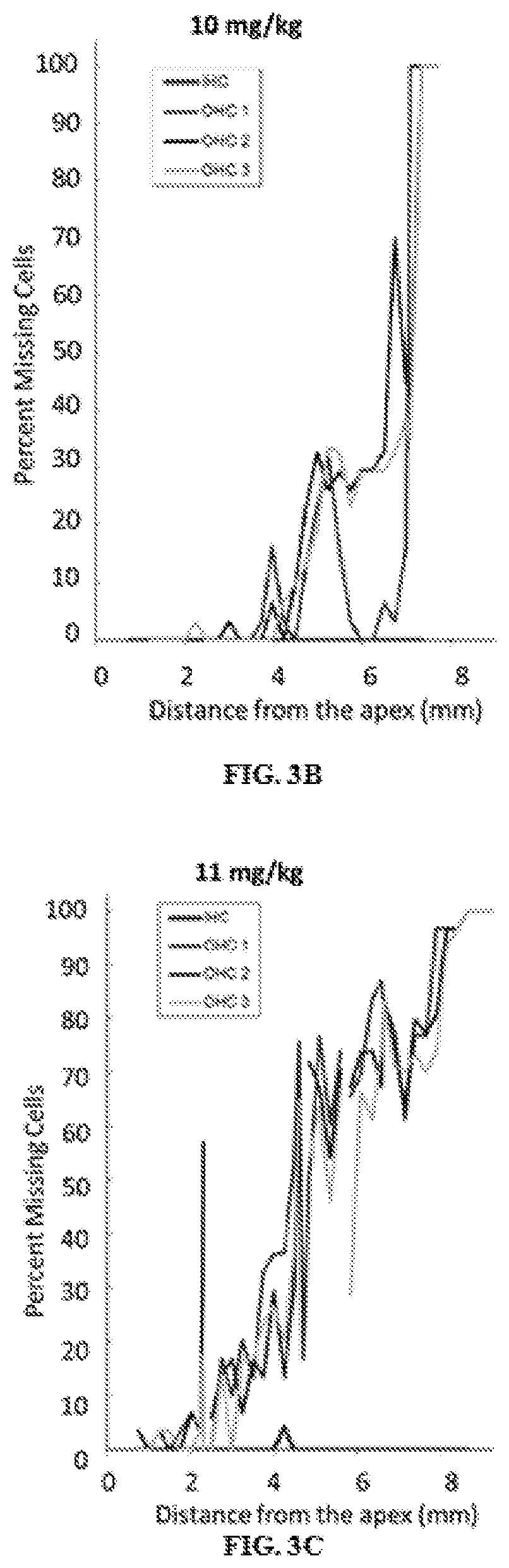 Otic formulations for drug-induced ototoxicity