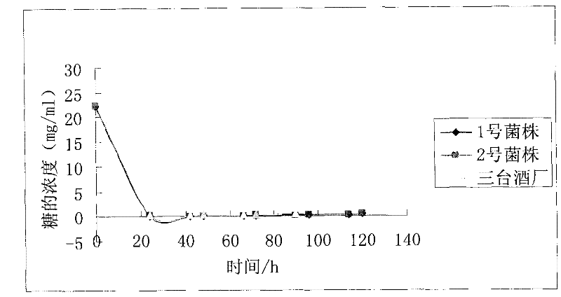 Recombinant saccharomyces cerevisiae engineering strain and application thereof