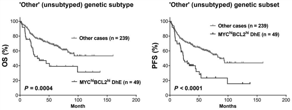 Diffuse large B-cell lymphoma prognosis model based on MYC/BCL2 double expression and immune microenvironment, application and prognosis method