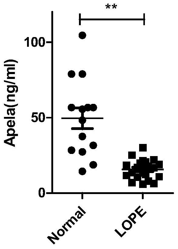 Test strips and kits for rapid screening of late-onset preeclampsia